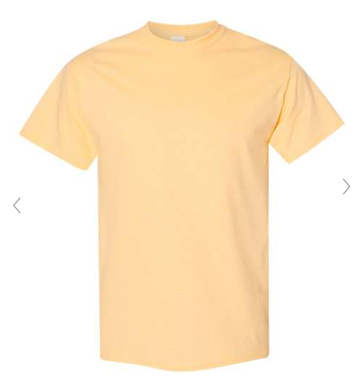 Custom Printed Gilden Unisex Crewneck Shirts